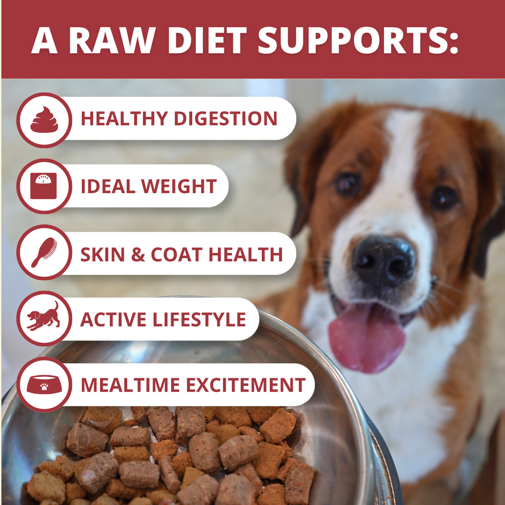 Freeze-Dried Raw Beef Dog Food Nuggets product image 4