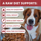 Freeze-Dried Raw Beef Dog Food Nuggets product image 4