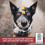 Freeze-Dried Raw Beef Dog Food Nuggets product image 6