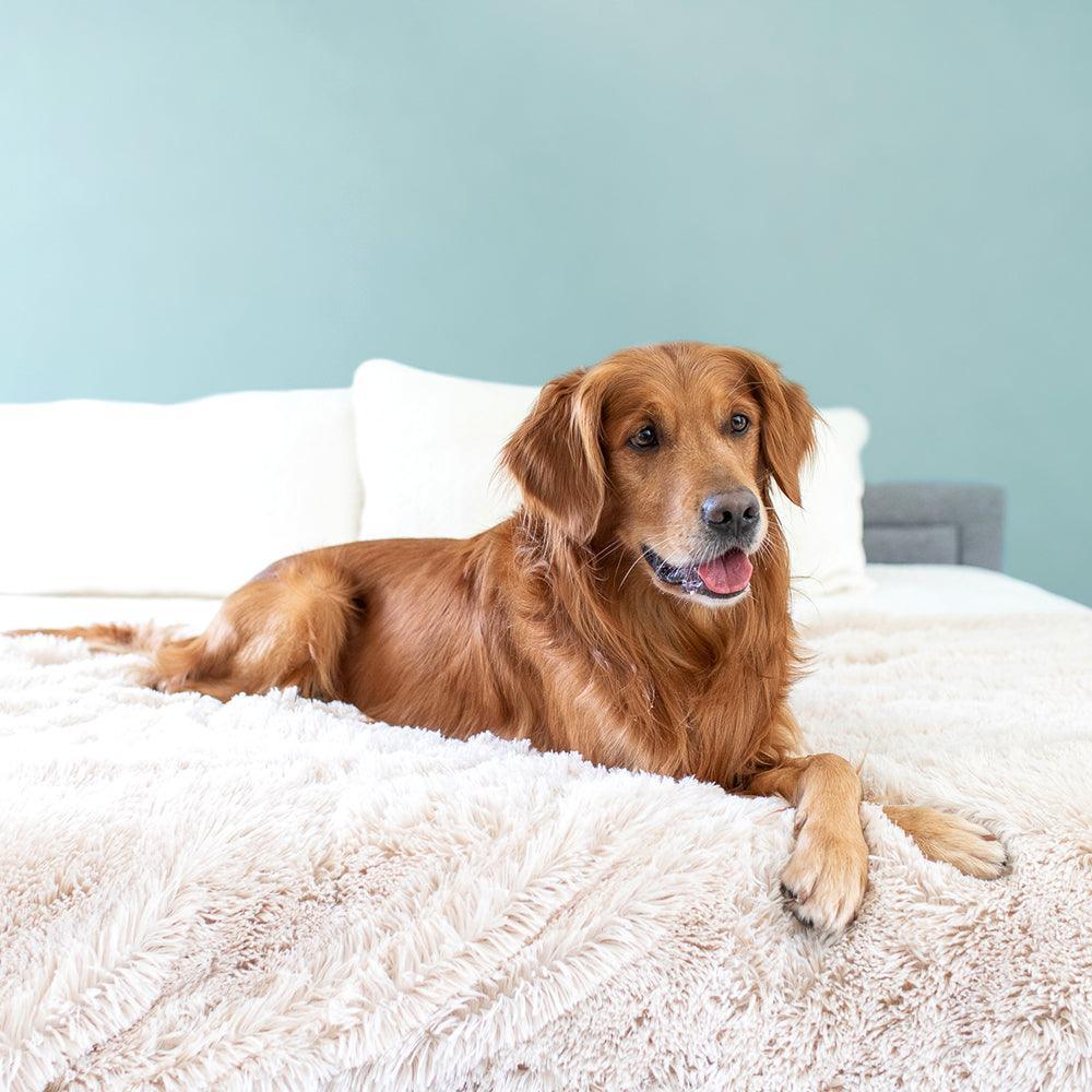 Waterproof Faux Fur Pet Throw Blanket product image 3