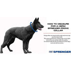 Prong Training Dog Collar product image 3