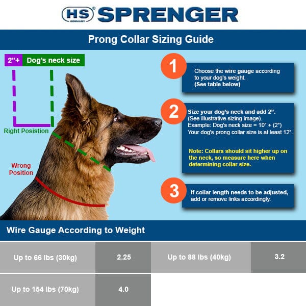 Prong Training Dog Collar product image 5