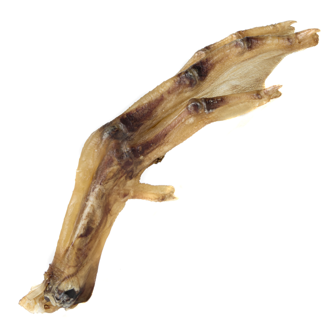Whole Duck Feet Dog Treats product image 8