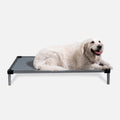 Armored Vinyl Elevated Dog Bed S / Gray Vinyl