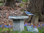 Granite Bird Bath product image 7