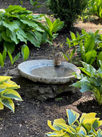 Granite Bird Bath product image 9
