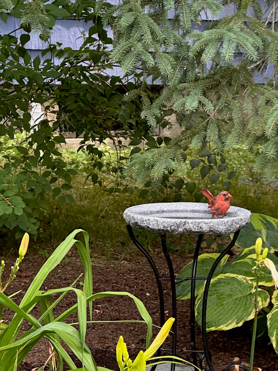 Granite Bird Bath product image 11
