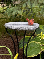 Granite Bird Bath product image 13