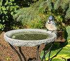 Granite Bird Bath product image 14