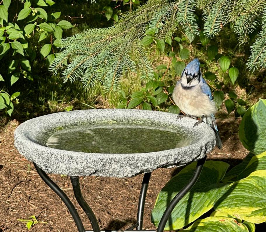 Granite Bird Bath product image 14