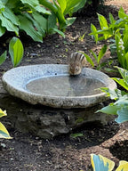 Granite Bird Bath product image 17