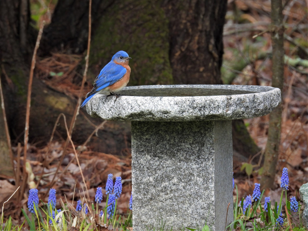 Granite Bird Bath product image 18