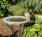 Granite Bird Bath product image 20