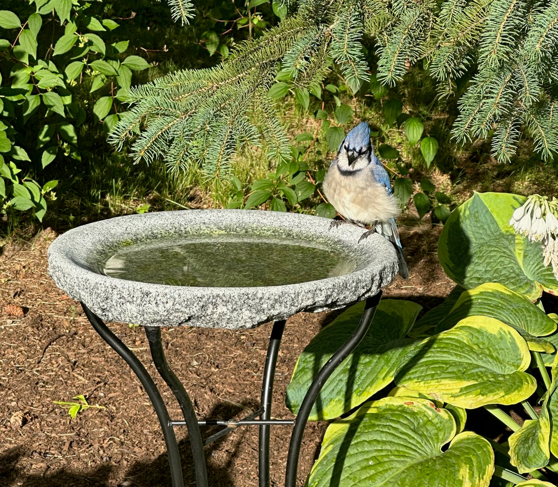 Granite Bird Bath product image 20