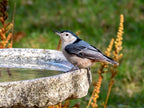 Granite Bird Bath product image 21