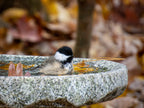 Granite Bird Bath product image 23