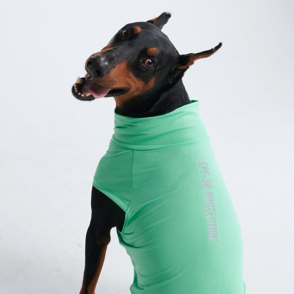 UPF 30 Dog Sun Shirt product image 32