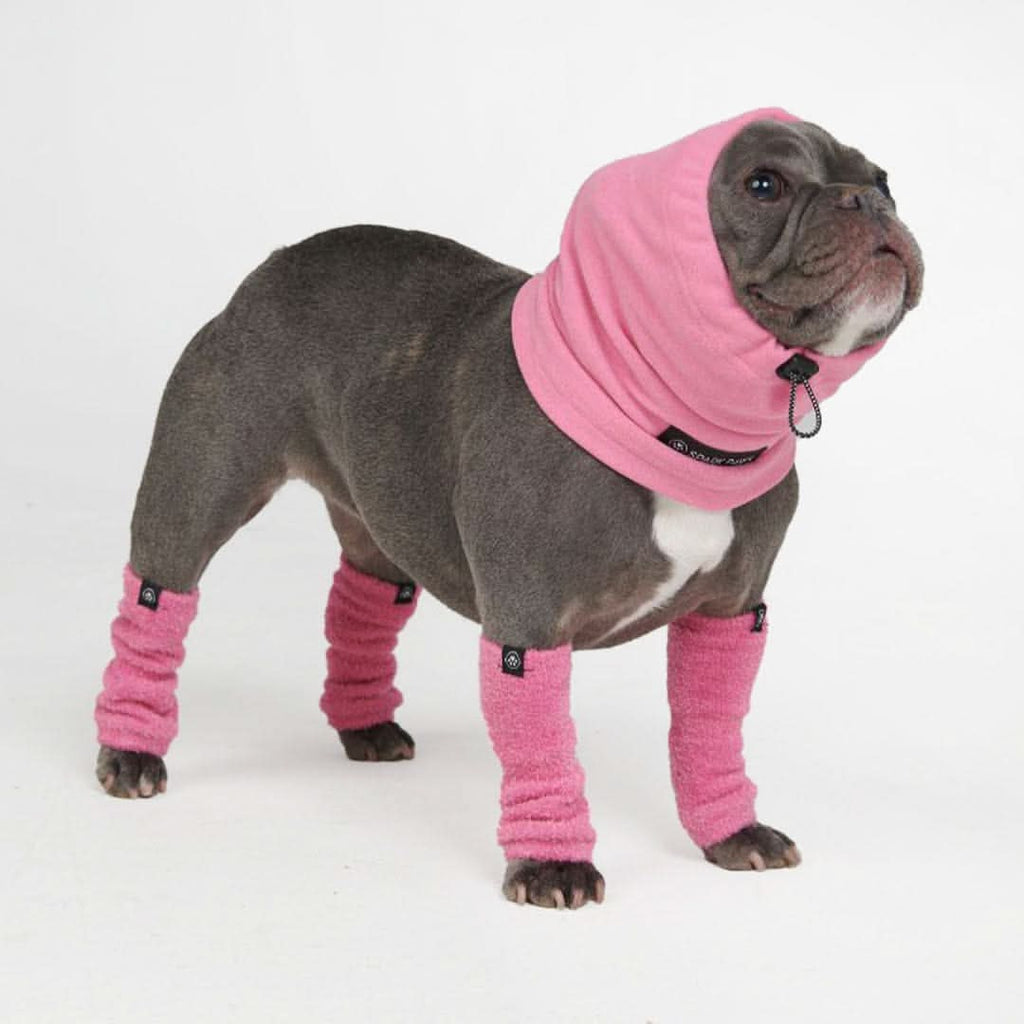 Adjustable Dog Ear Cover product image 3