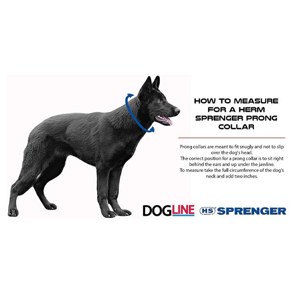 Black Stainless Steel Prong Dog Collar product image 7