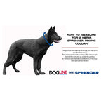Black Stainless Steel Prong Dog Collar product image 7