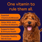 Dog Multivitamin product image 3