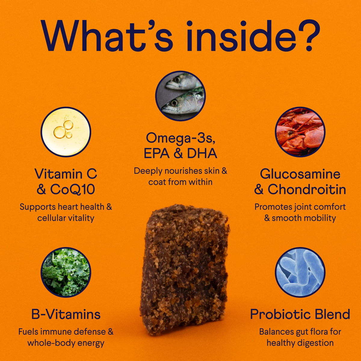 Dog Multivitamin product image 4