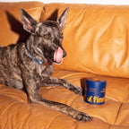 Dog Multivitamin product image 8