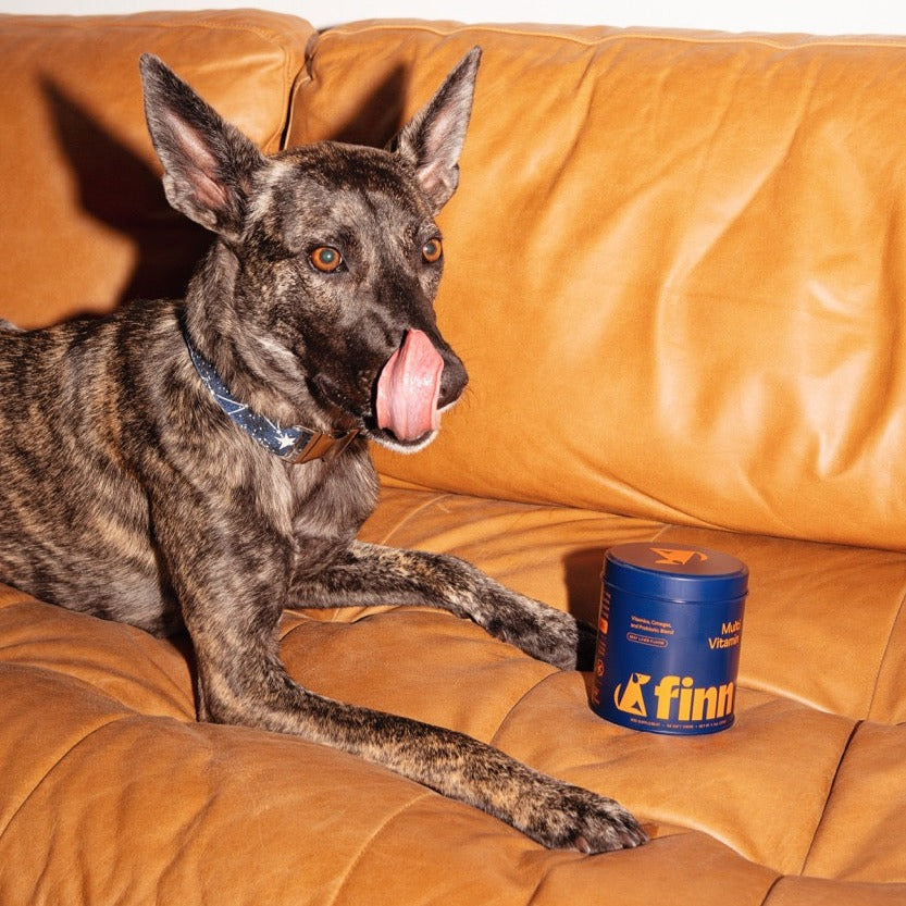 Dog Multivitamin product image 8
