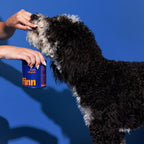 Dog Multivitamin product image 9