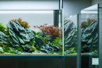 CO2 Diffuser product image 2