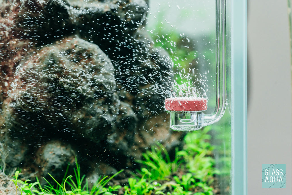 CO2 Diffuser product image 3