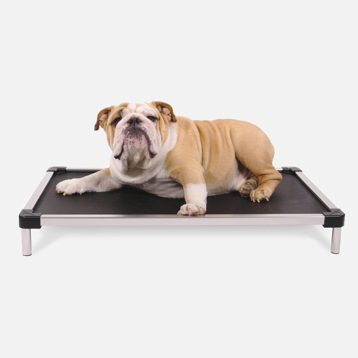 Elevated Dog Bed product image 1