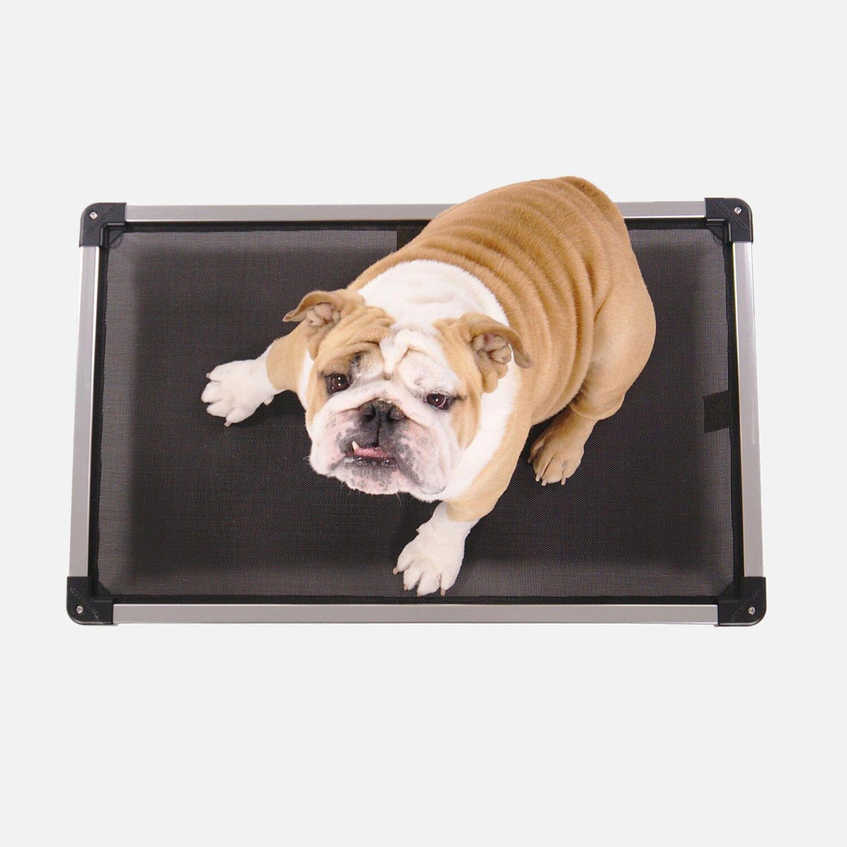 Elevated Dog Bed product image 2