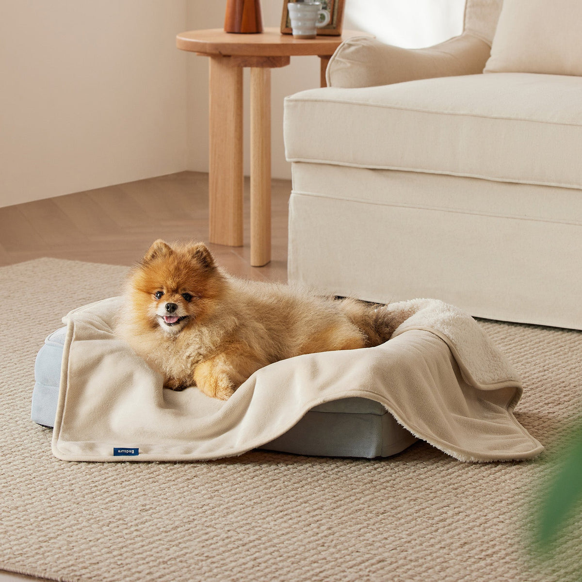 Dog Blanket product image 2