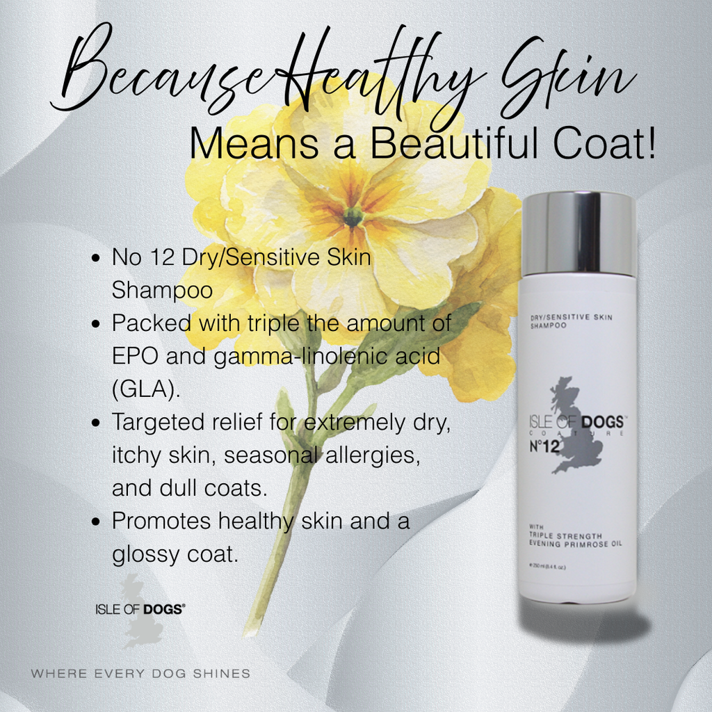 Dog Shampoo product image 2
