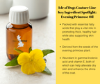 Dog Shampoo product image 3