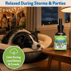 Dog calming supplement for occasional stress support during travel, loud noises, vet visits, and changes