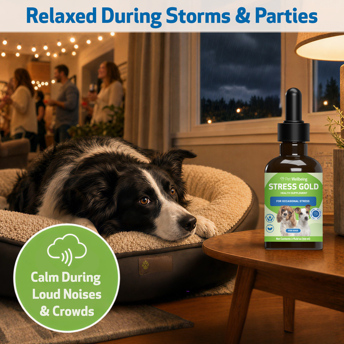 Dog calming supplement for occasional stress support during travel, loud noises, vet visits, and changes