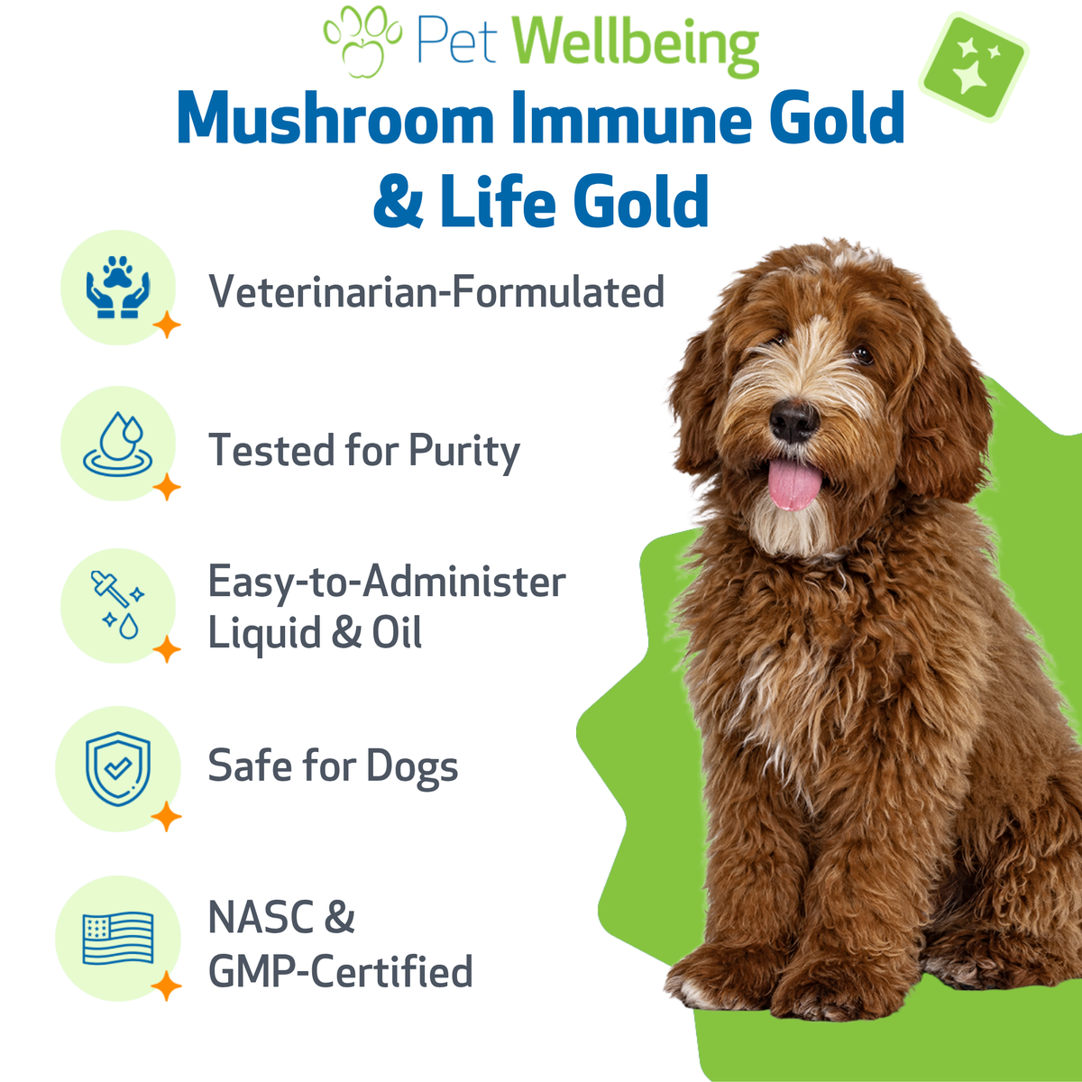 Dog immune support supplement kit for antioxidant balance and everyday holistic wellness, two liquid formulas