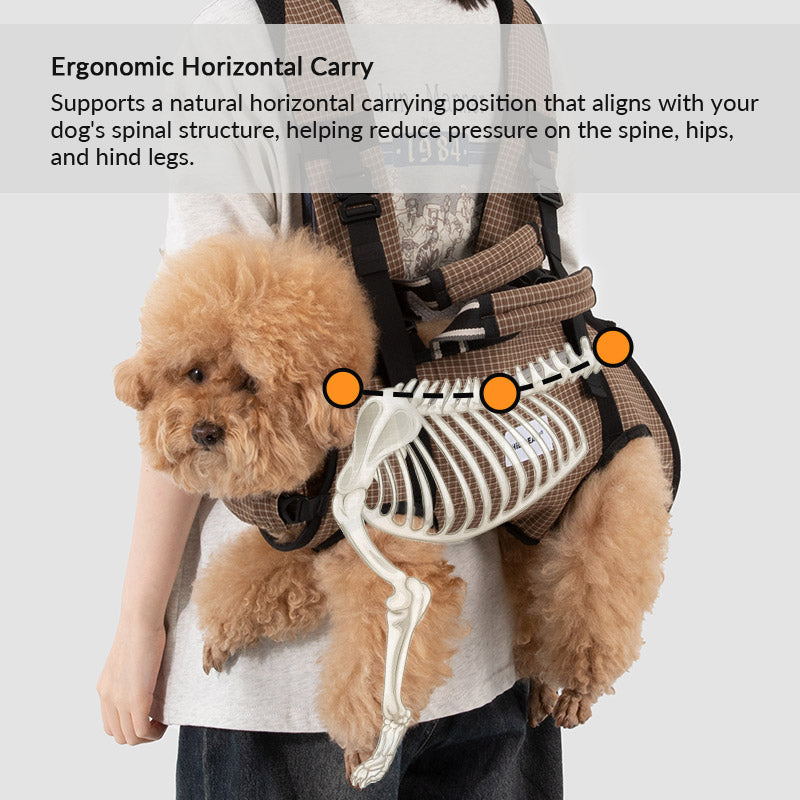Dog Carrier Backpack for Cool, Comfortable Walks, Travel and Hiking with Four-Leg-Out Airflow