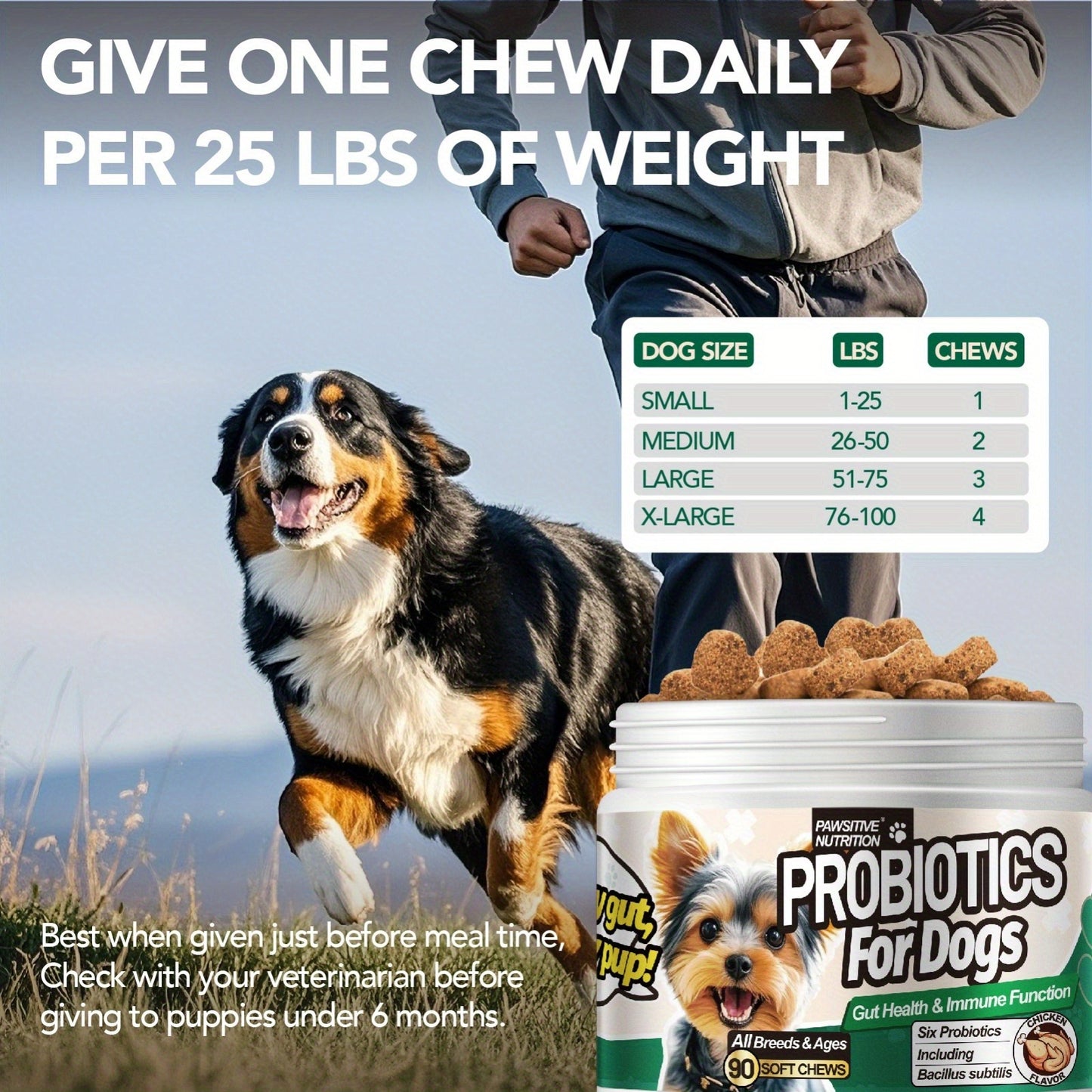 Dog Probiotic Chews for Digestive Health - Chicken Flavor Soft Chews with Probiotics for All Breeds, Supports Gut Health, Bloating & Diarrhea Relief, 90 Count per Bottle