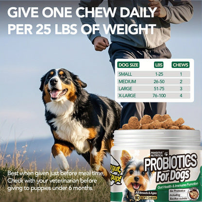 Dog Probiotic Chews for Digestive Health - Chicken Flavor Soft Chews with Probiotics for All Breeds, Supports Gut Health, Bloating & Diarrhea Relief, 90 Count per Bottle