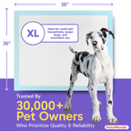 Extra-Large Dog Training Pads product image 8