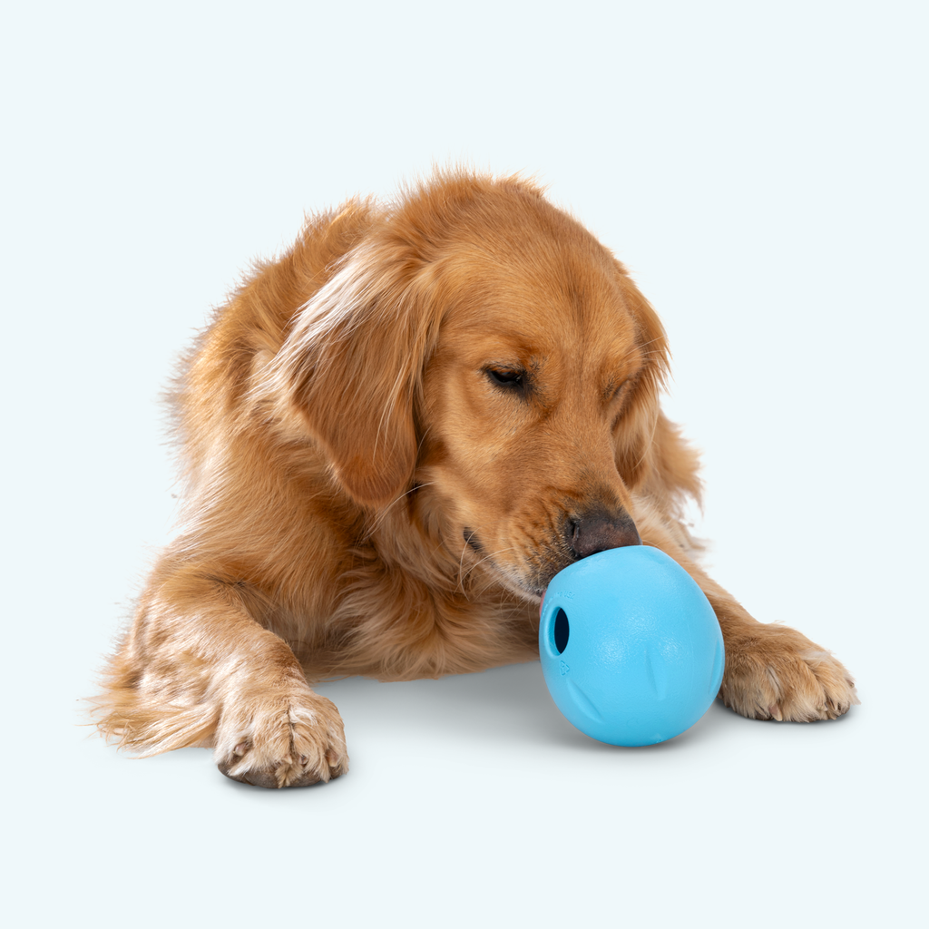 Treat-Dispensing Puzzle Dog Toy product image 8