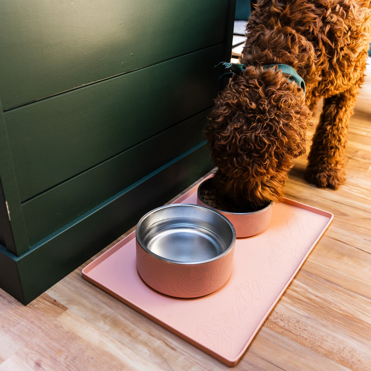 Silicone Dog Bowl Placemat product image 5