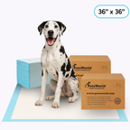 Extra-Large Dog Training Pads product image 7