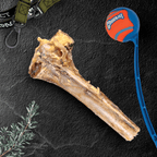 Large Ostrich Cane Dog Chew Default Title