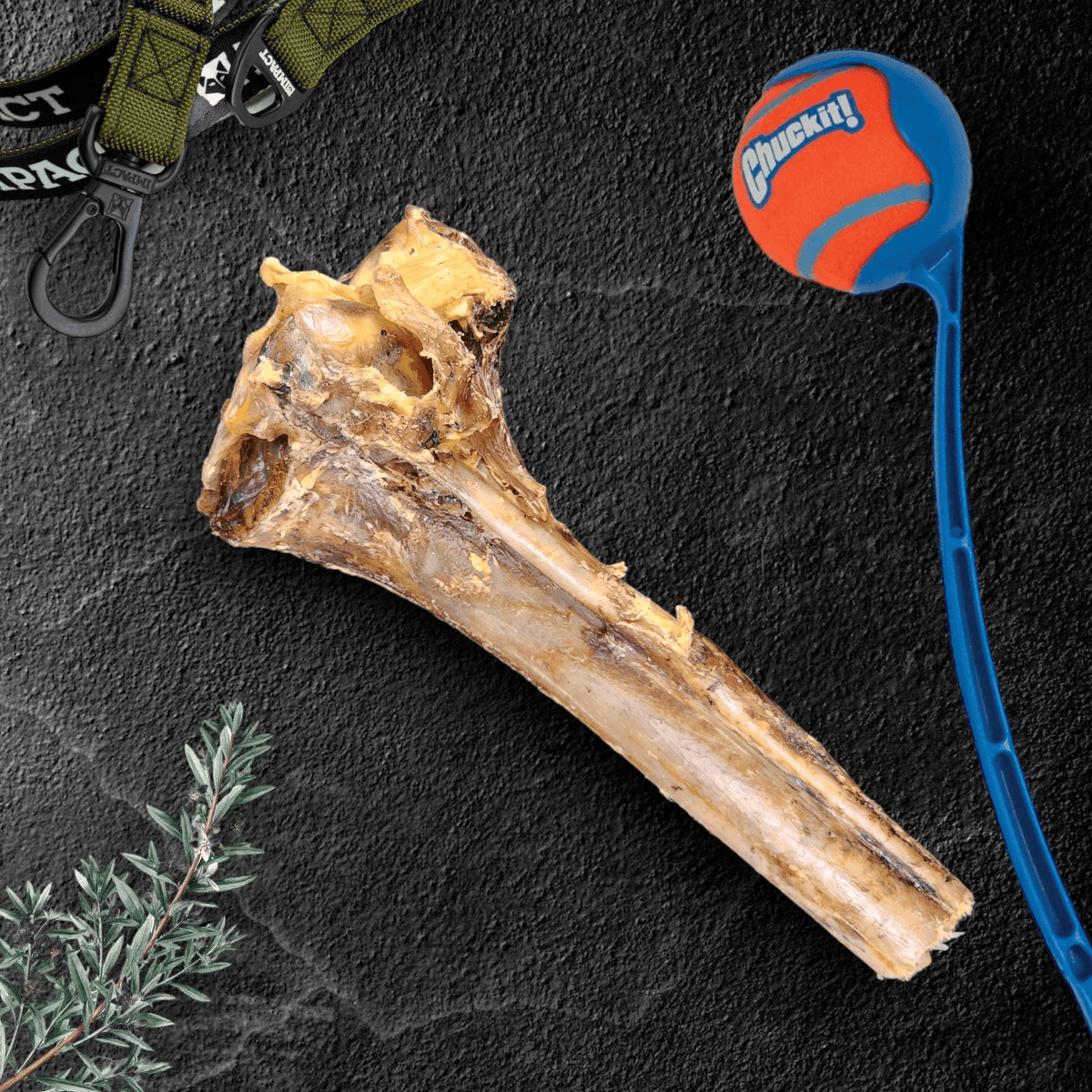 Large Ostrich Cane Dog Chew Default Title
