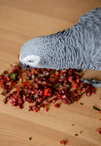 Freeze-Dried Seasonal Parrot Food product image 10