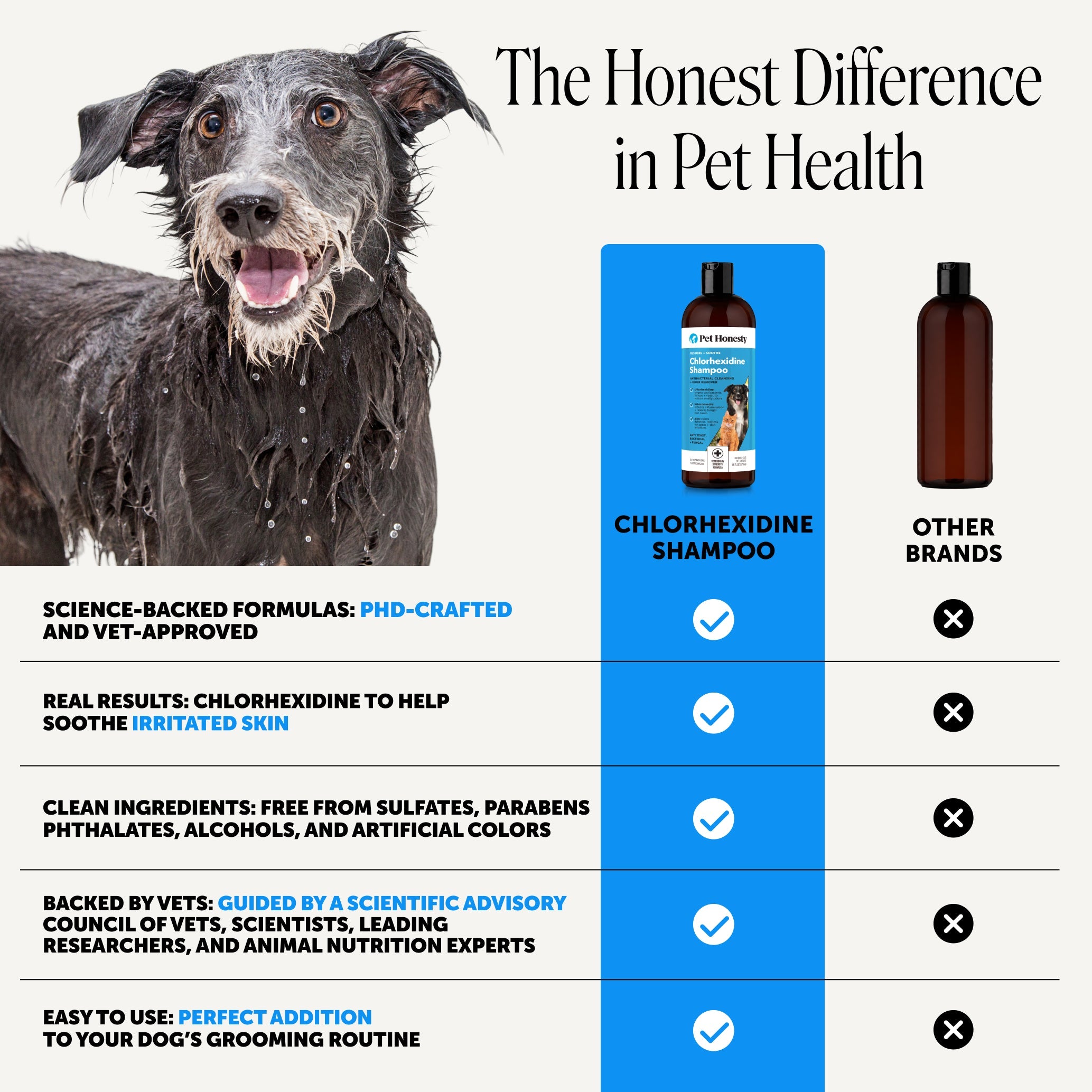 Chlorhexidine Pet Shampoo product image 5